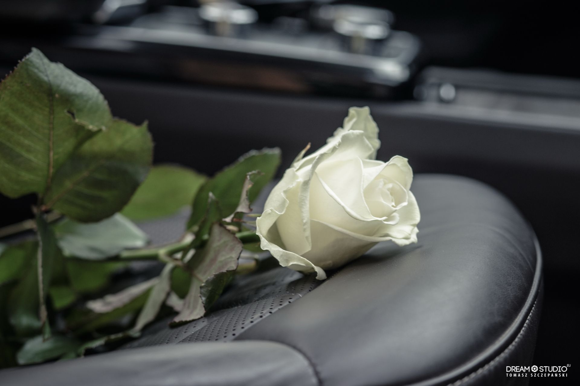 Kwiaciarnia Magnolia 33